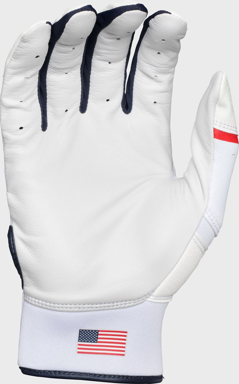 Rawlings Clout Batting Gloves, Adult, Youth, & T-Ball Sizes