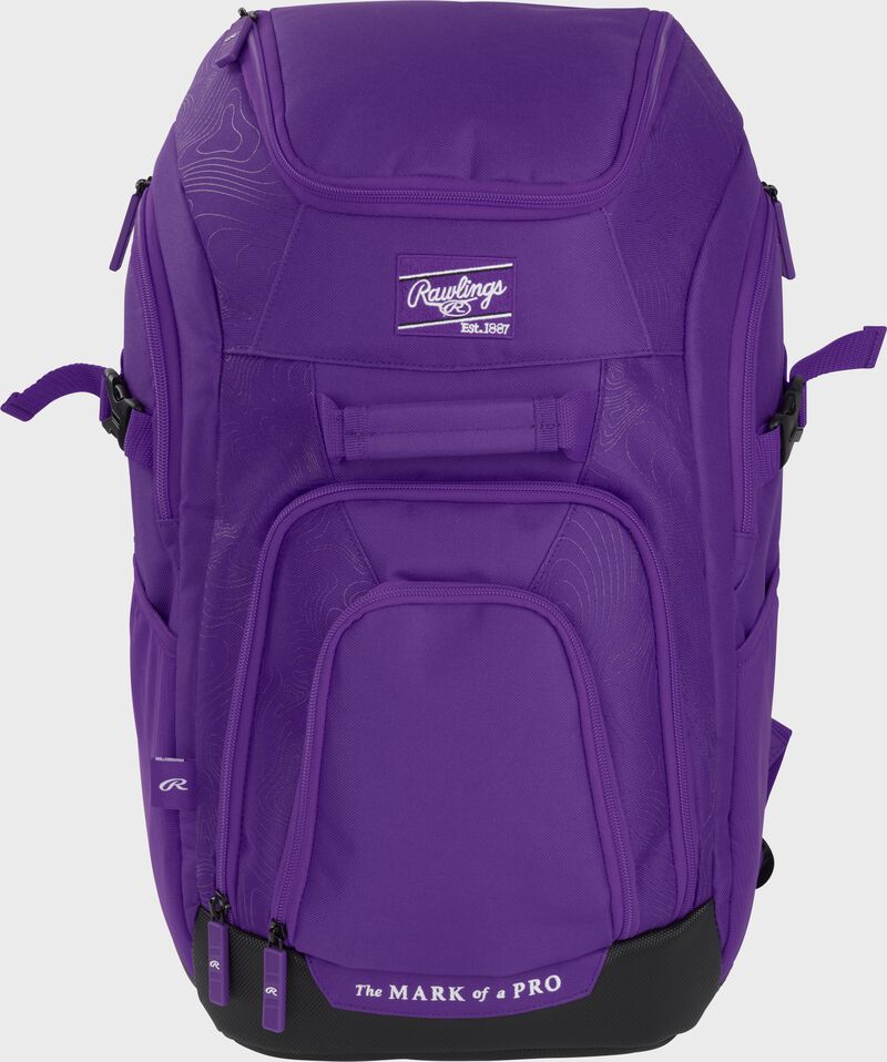 Franchise 2 Player's Baseball Backpack