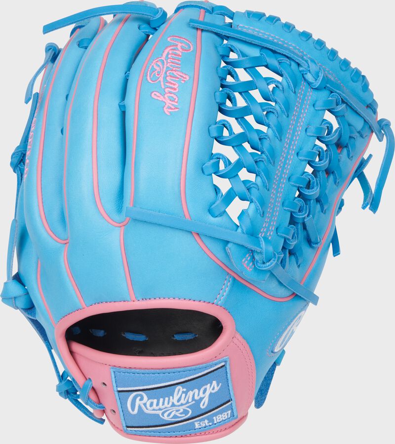 Heart of the Hide 12.75-Inch Modified Trap-Eze Web Glove