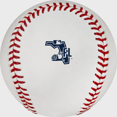 MLB 2020 Florida Spring Training Baseballs